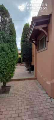 20210301_121308.jpg